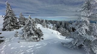 Col du Marchairuz - Cunay null