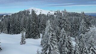 Col du Marchairuz - Cunay null