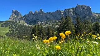 Les Pucelles 2109 m - Corne Aubert 2037 m null
