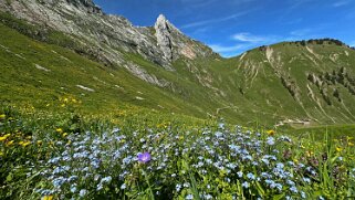 Grand Tour des Gastlosen et de la Dent de Savigny null