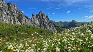 Grand Tour des Gastlosen et de la Dent de Savigny null