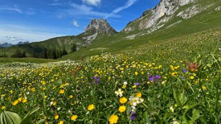 Grand Tour des Gastlosen et de la Dent de Savigny null