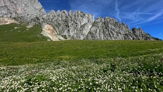 Grand Tour des Gastlosen et de la Dent de Savigny null