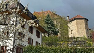 Gruyères null