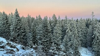 Col du Marchairuz - Grand Cunay null