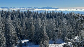 Col du Marchairuz - Grand Cunay null
