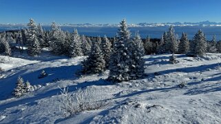 Col du Marchairuz - Grand Cunay null