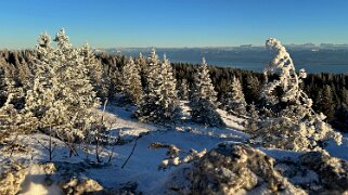Col du Marchairuz - Grand Cunay null