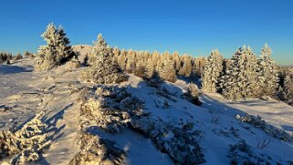 Col du Marchairuz - Grand Cunay null