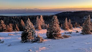 Col du Marchairuz - Grand Cunay null
