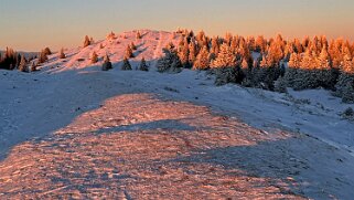 Col du Marchairuz - Grand Cunay null