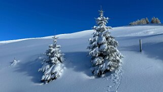 La Lécherette - Monts Chevreuils null