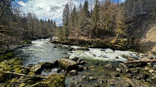 Sauit du Doubs null