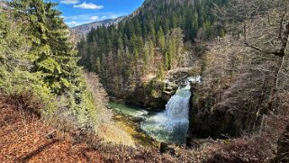 Sauit du Doubs null