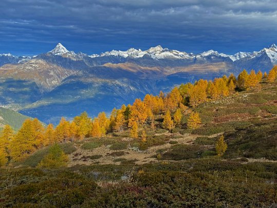 Simplon - Rosswald 2022 Valais - Suisse