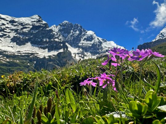 Kiental 2024 Berne - Suisse