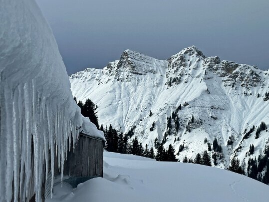 Morgins - Savolaire 2024 Valais - Suisse