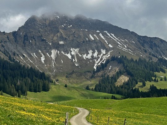 Les Paccots - Col de Soladier 2024 Fribourg & Vaud - Suisse