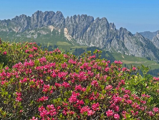 Mittelberg - Hundsrügg - Abländschen 2025 Berne - Suisse