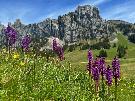 Tour de la Dent de Combette 2025 Vaud - Suisse