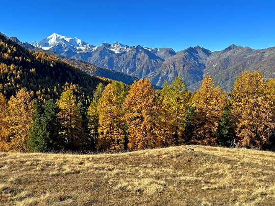 Gspon - Visperterminen 2025 Valais - Suisse