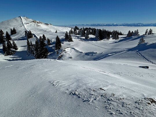 Col du Marchairuz - Mont-Tendre 2025 Vaud - Suisse