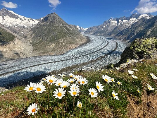 Glacier d'Aletsch 2026 Valais - Suisse