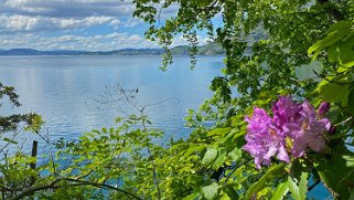 Vitznau - Lac des Quatre-Cantons Rando 2021