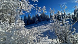 Col du Mollendruz - Croix de Châtel 2022