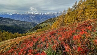 Isérable - Balavaux 2023