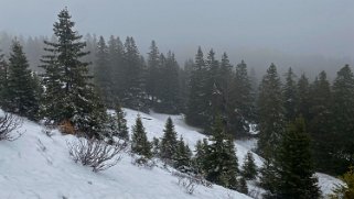Col du Marchairuz - Mont-Tendre Rando 2023