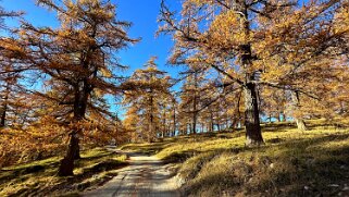 Col des Planches - La Crevasse 2024