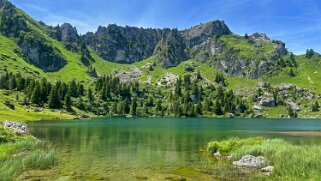 Obersimmental - Diemtigtal 2024