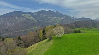 Ollon - Les Ecovets 2024