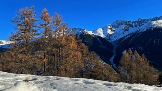 Vichères - Bavon 2024