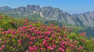 Mittelberg - Hundsrügg - Abländschen 2025