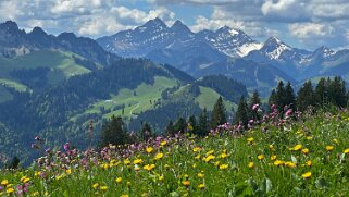 La Valsainte - La Berra 2025