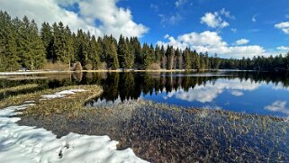 Etang de la Gruère 2026