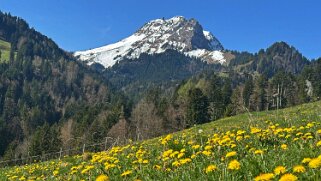 Sentier des fromageries - Gruyères 2026