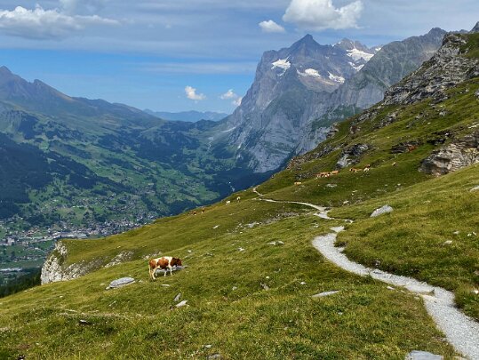 Wengen Allmend - Grindelwald Alpiglen 2023 Berne - Suisse