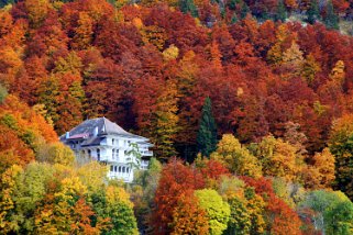 Le Pont - Vallée de Joux Le Pont - Vallée de Joux