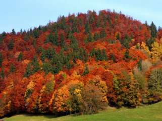 Le Pont - Vallée de Joux Le Pont - Vallée de Joux