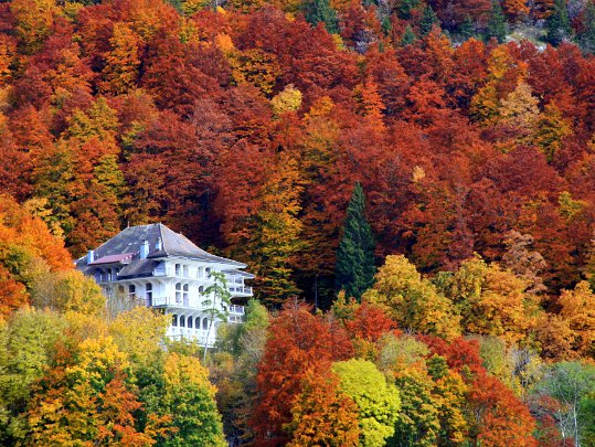 Vallée de Joux 2008 Couleurs d'automne