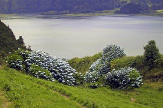 Lagoa Azul - San Miguel Açores 2004