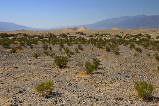 Death Valley - Californie Etats-Unis 2005