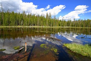 Yellowstone National Park - Wyoming Etats-Unis 2005