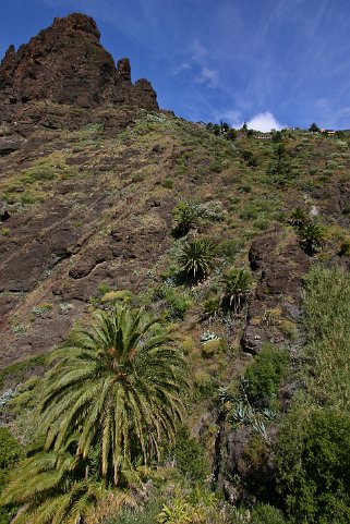 Barranco de Masca - Tenerife Canaries 2006