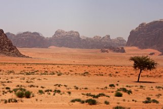 Wadi Rum Jordanie 2010