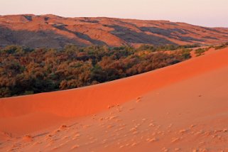 2010 Homeb - Namib Desert