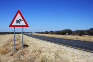 2010 Namibia road